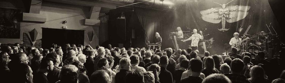 Spectrum Augsburg - Kultur : Diskothek : Konzerte Kalender